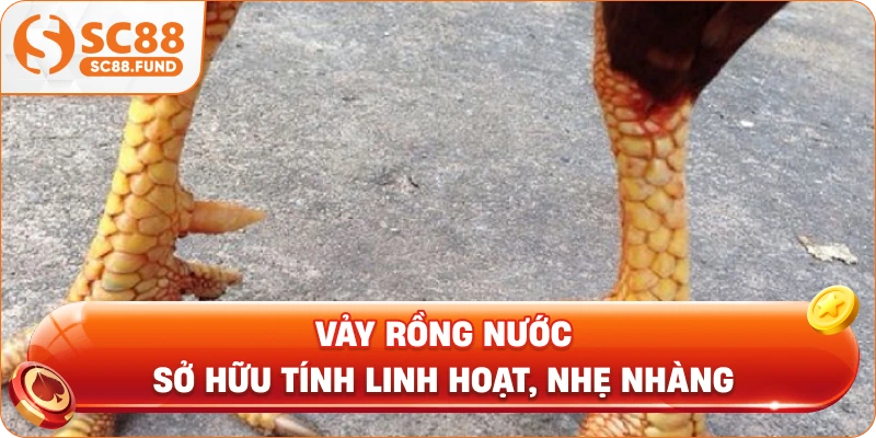 Vảy rồng nước sở hữu tính linh hoạt, nhẹ nhàng
